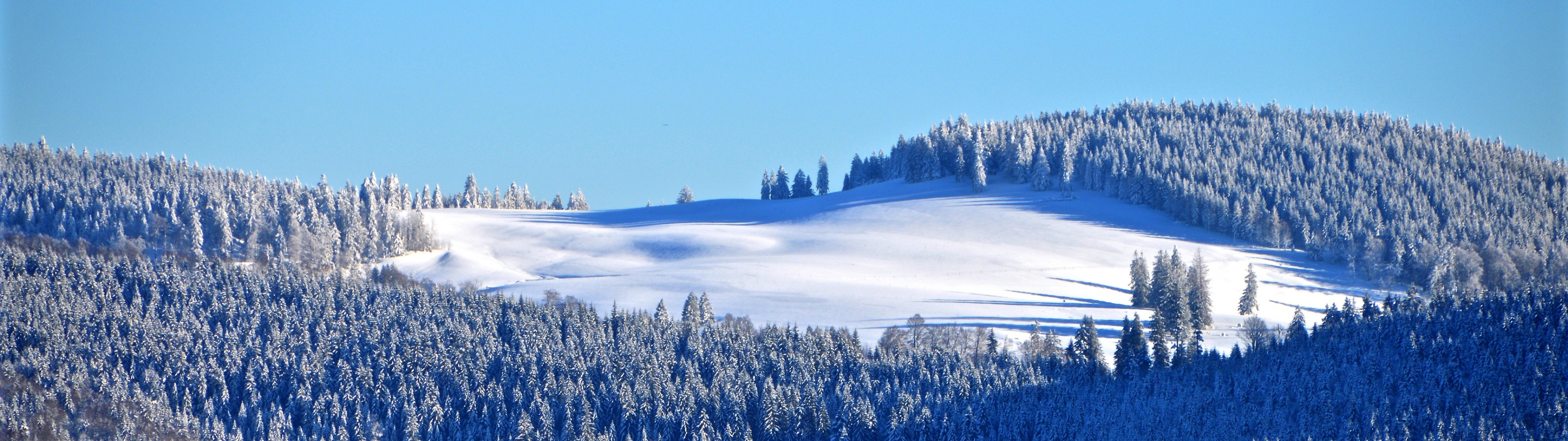 Winter forest Wallpaper 4K, Snow, Trees, Hill, Sky view, Clear sky, Blue Sky, Nature