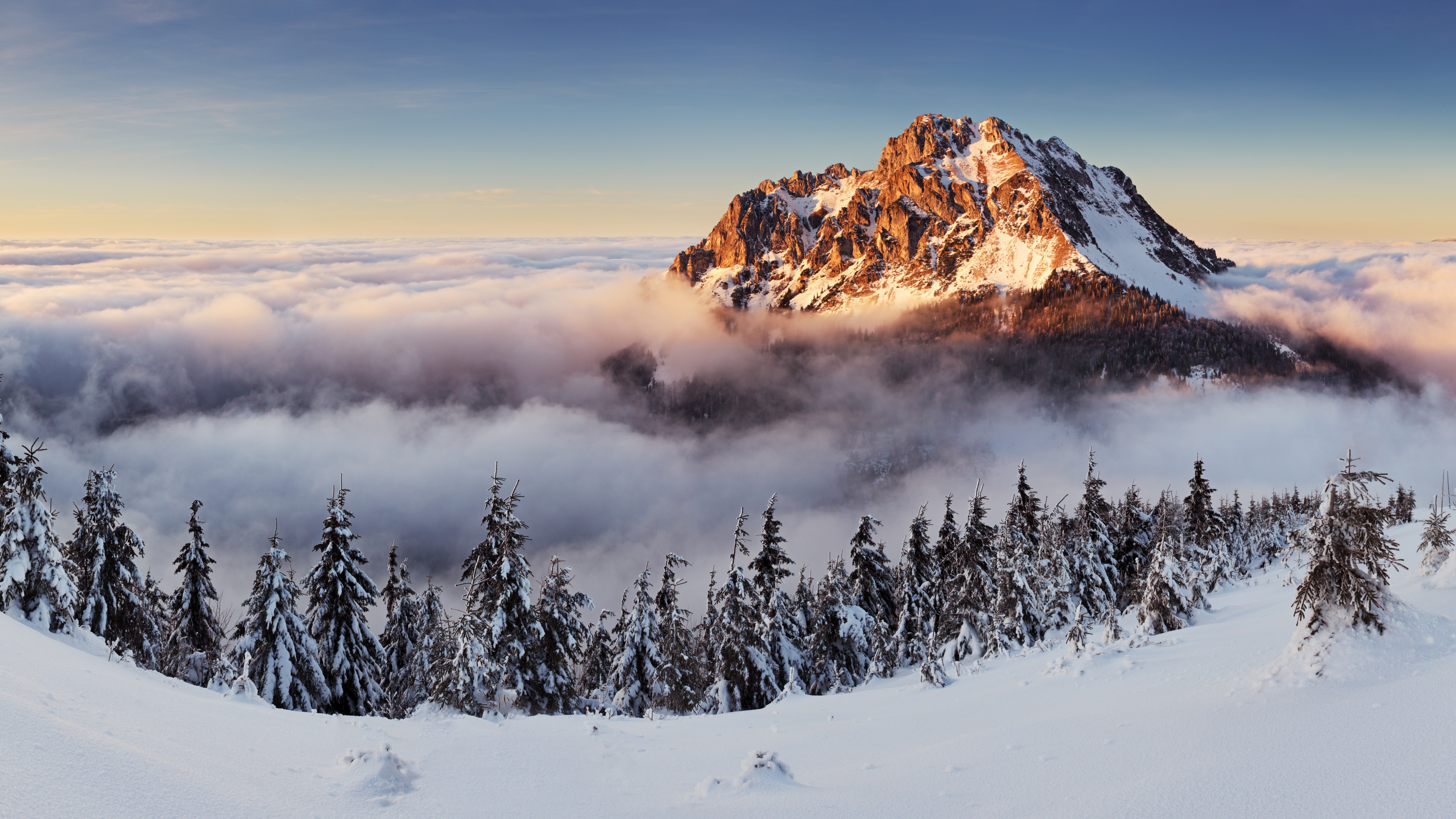 Wallpaper mountains, forest, snow, winter, fog, 8k, Nature