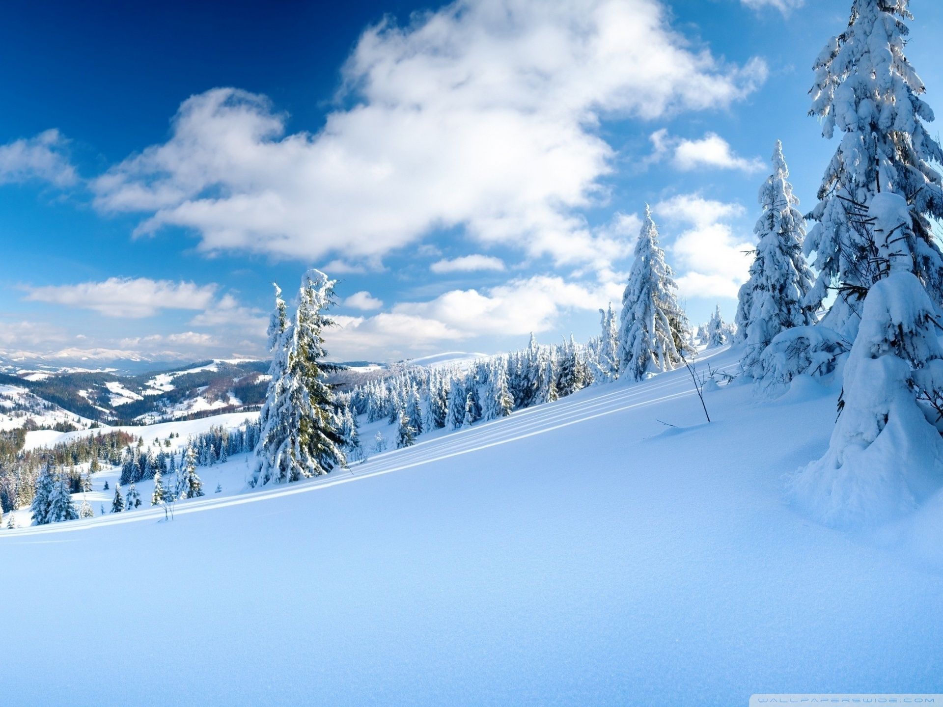 Winter Mountain Wallpaper