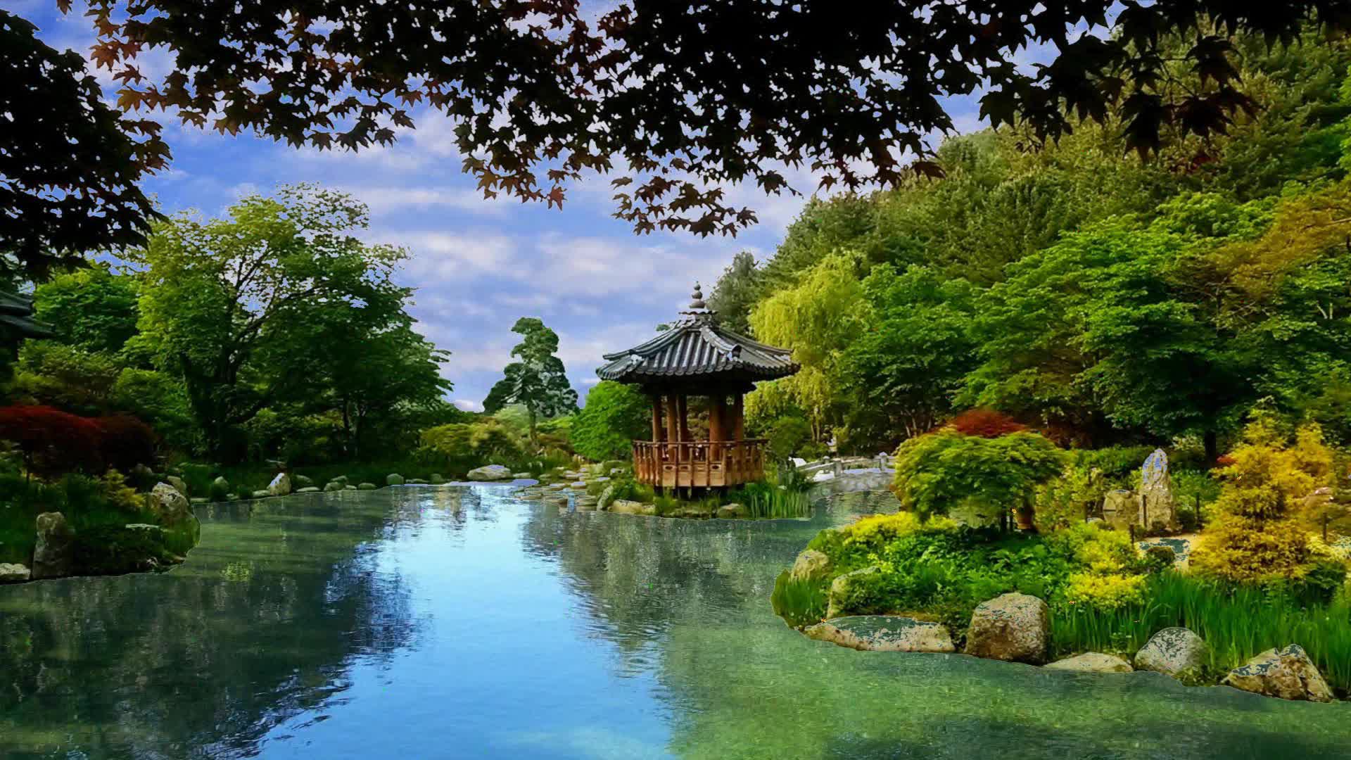 Бамбуковый сад в Японии