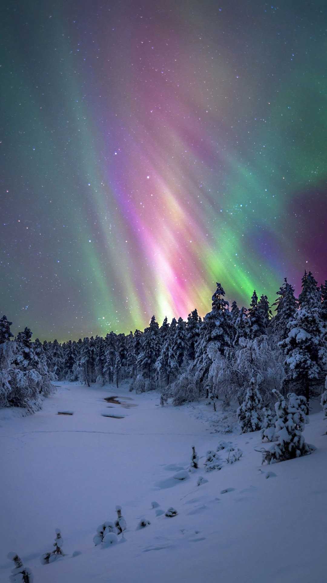 northern lights snow wallpaper