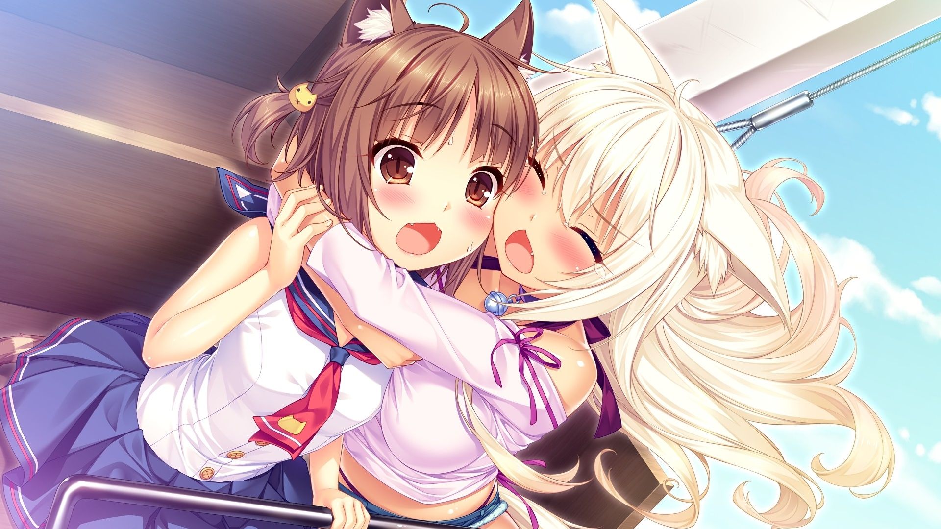 Desktop Wallpaper Azuki, Coconut, Anime Girls, Cute, Nekopara, HD Image, Picture, Background, 46f346