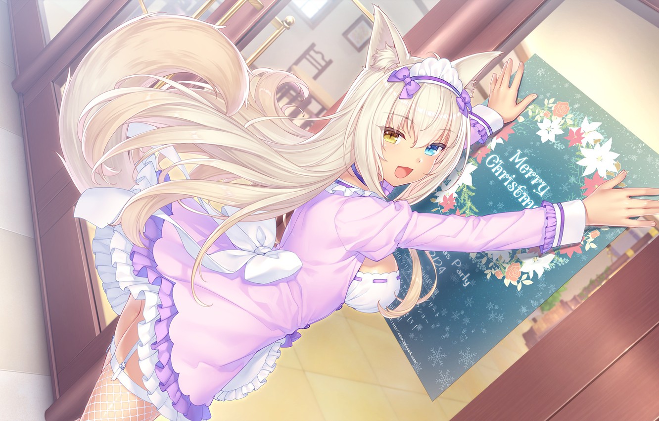 Wallpaper Ruski, poster, corset, long hair, bezel, different eyes, cat ears, Cat Heaven, fox girl, Anything Para, Coconut, stockings with belt, by Sayori image for desktop, section сёдзё