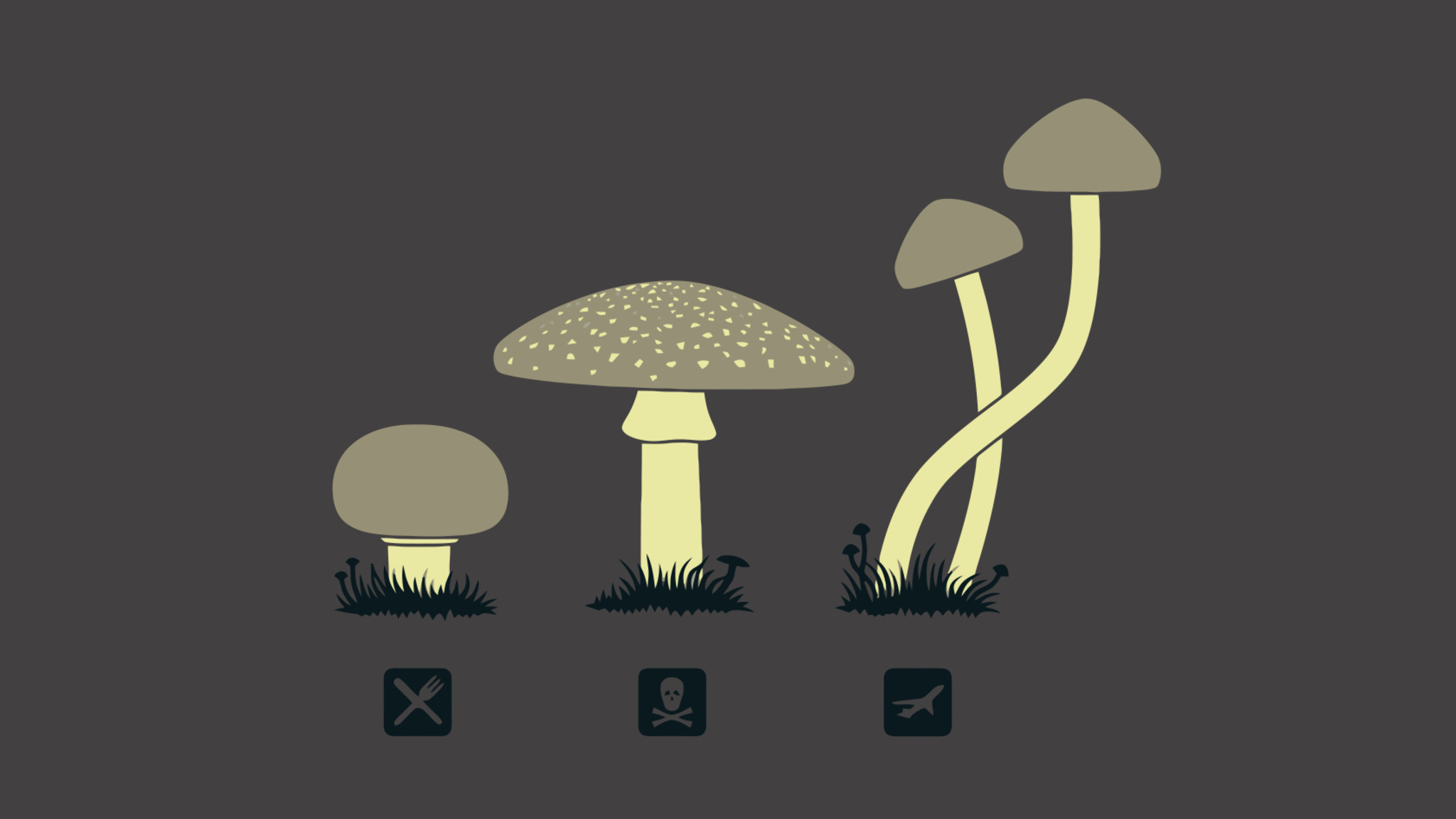 Mushroom Minimalism 2048x1152 Resolution HD 4k Wallpaper, Image, Background, Photo and Picture