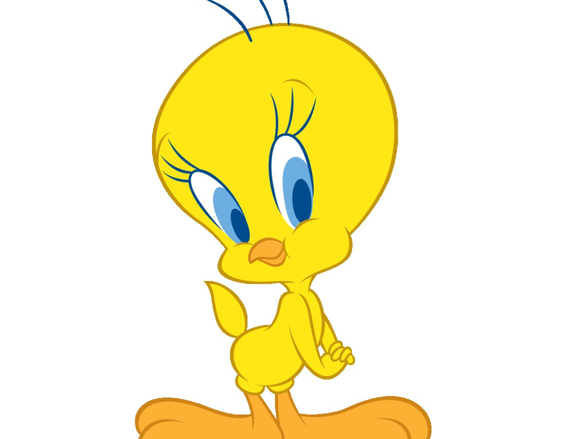 Tweety Bird Coloring Cartoon Drawing Free Wallpaper Desktop Background