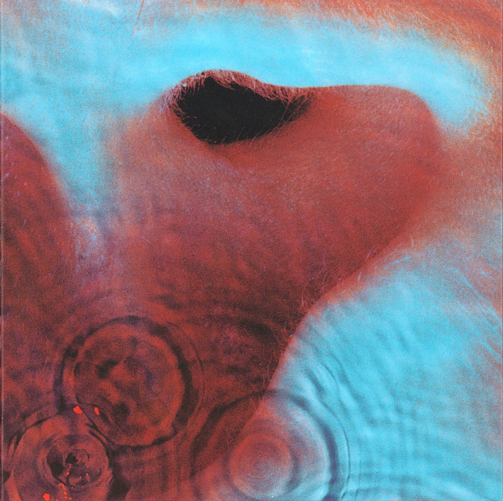 Anyone think Meddle might be Pink Floyd's best album?