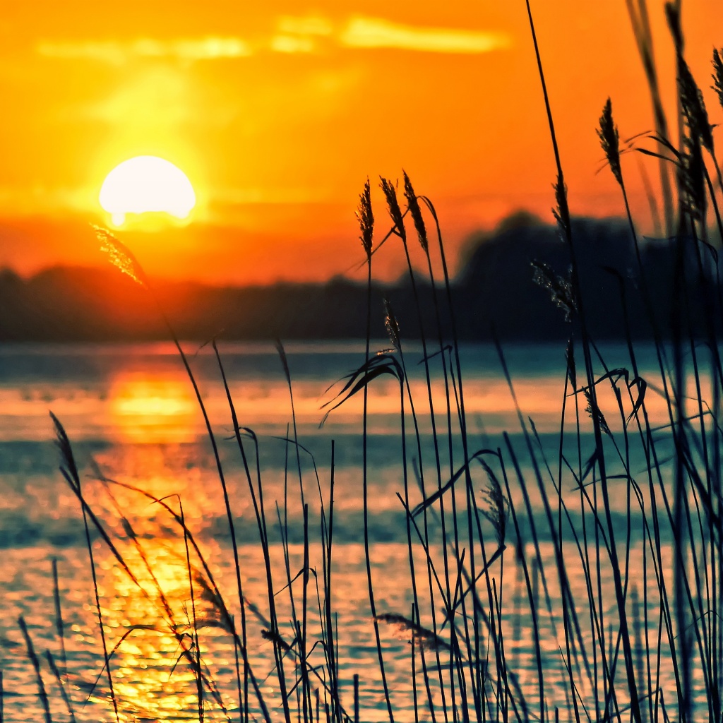 Sunset Wallpaper 4K, Lake, Backlight, Scenery, Dusk, Silhouette, Nature