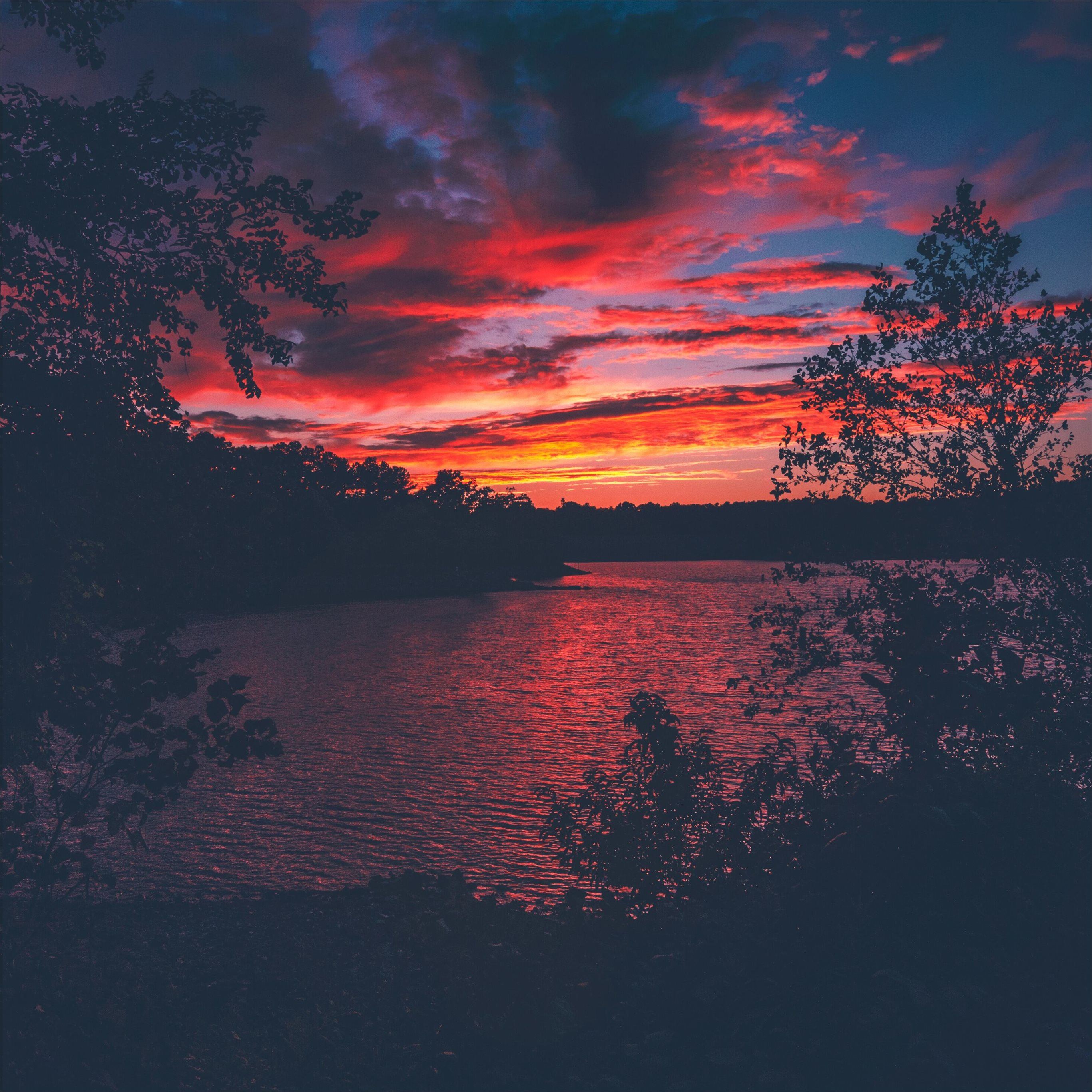 red evening sunset lake view from forest woods iPad Pro Wallpaper Free Download