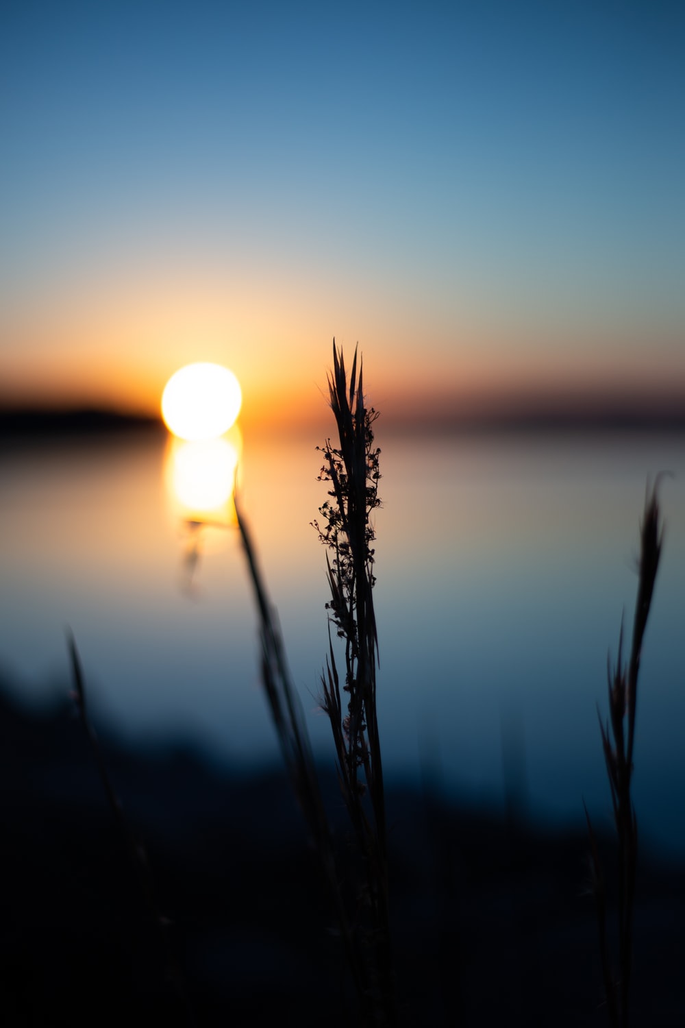 Lake Sunset Picture. Download Free Image