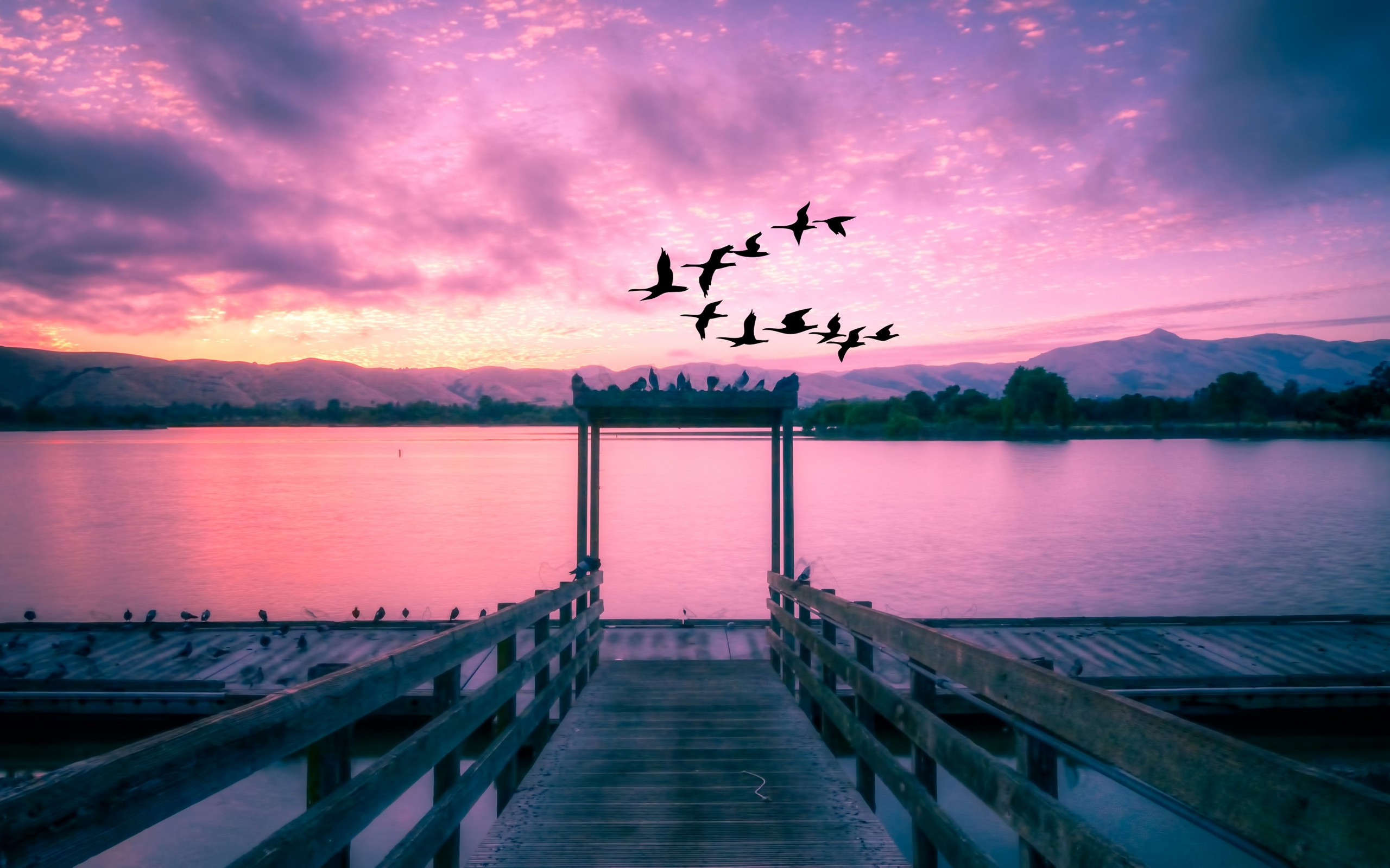 Download 2560x1600 Sunset, Lake, Birds, Sky, Clouds Wallpaper for MacBook Pro 13 inch