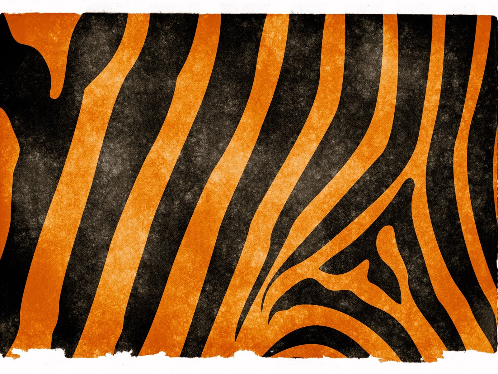 Alfa Img Showing > Tiger Stripe Wallpaper Desktop Background