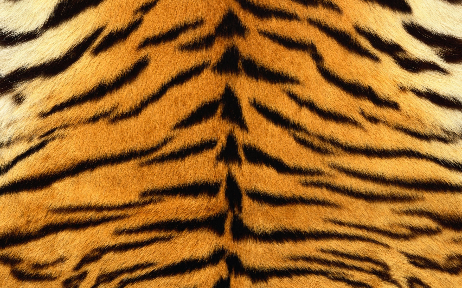 Wallpaper, skin, tiger, stripes, fur, striped 1920x1200