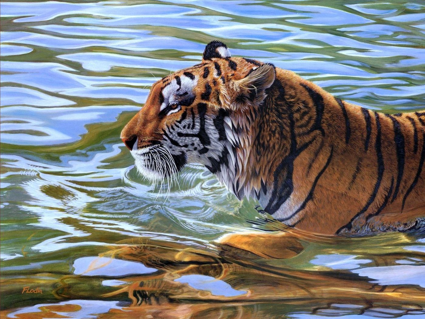 Download wallpaper 1400x1050 tiger, stripes, water, swim standard 4:3 HD background