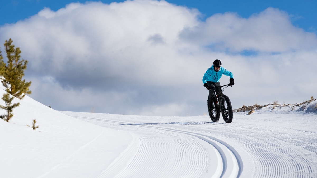 Fall & winter apparel