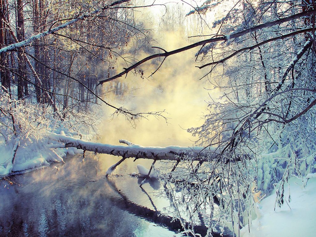 Download wallpaper 1024x768 winter, lake, tree, snow, steam, morning standard 4:3 HD background