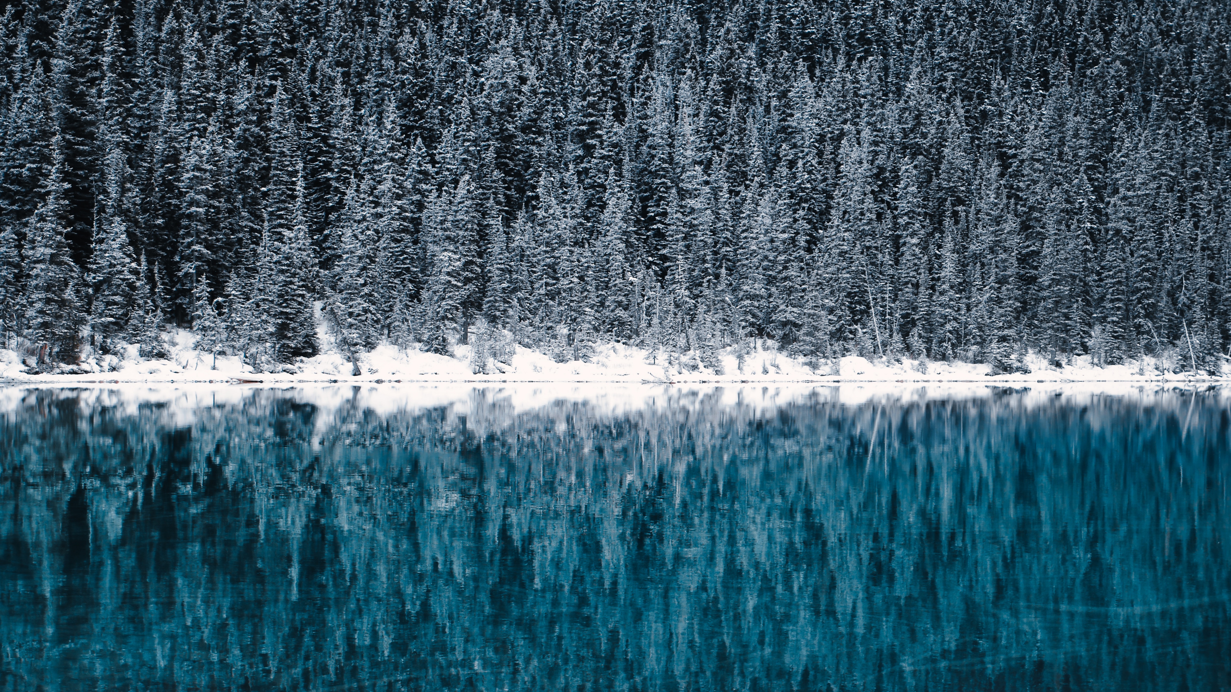 Lake Louise Wallpaper 4K, Winter, Cold, Reflections, Pine trees, Frozen, Nature