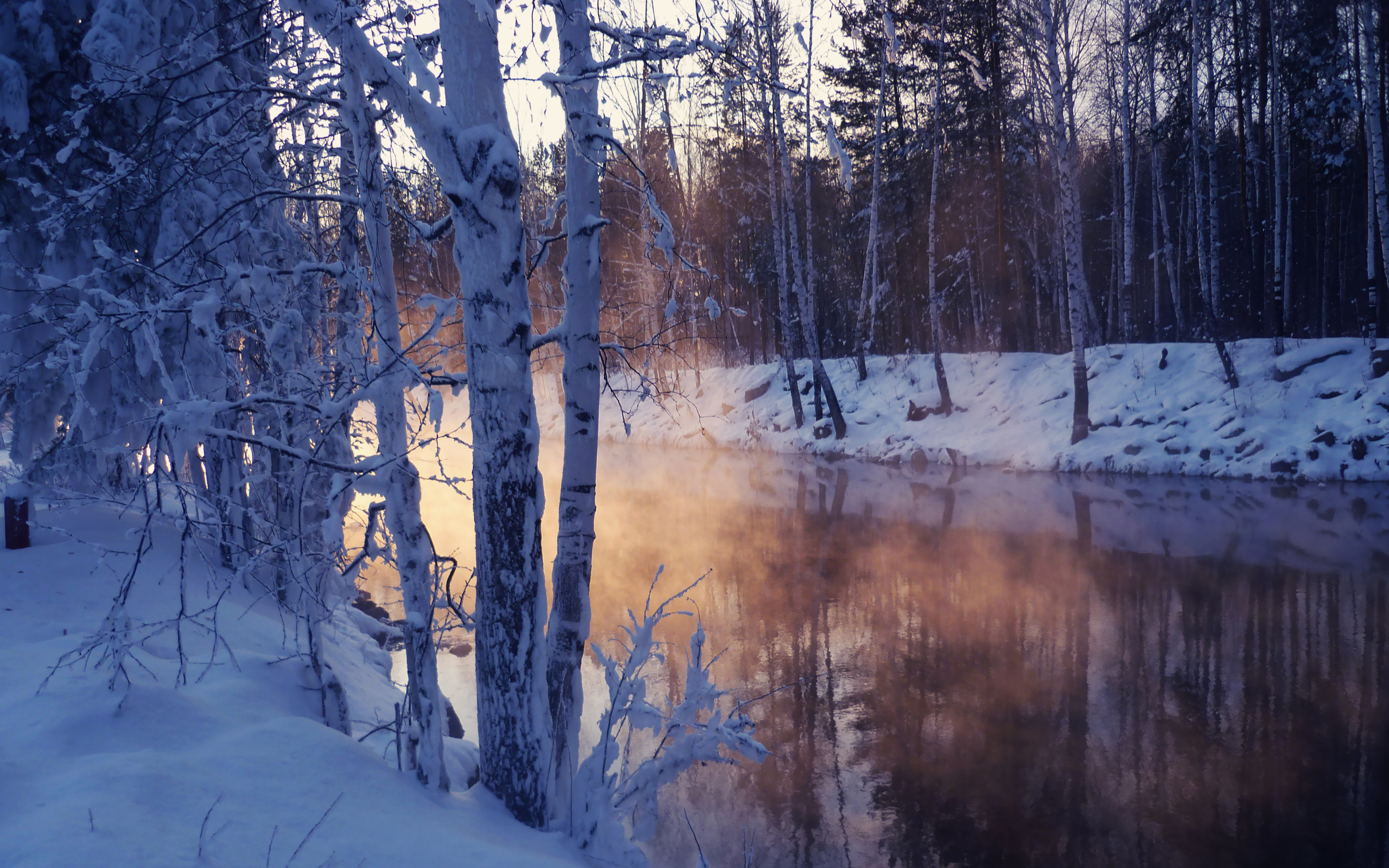 Winter Landscape With Snow Covered Tree Lake Wallpaper