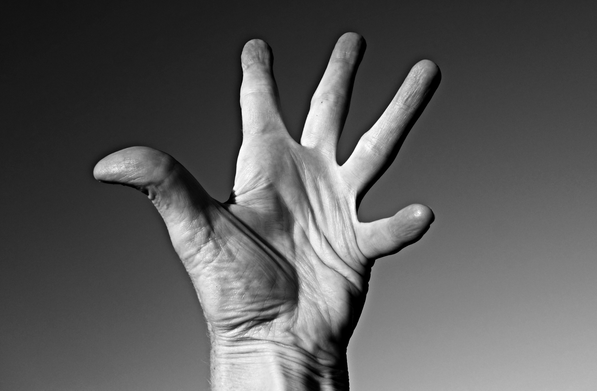 Raised Hand Free Domain Picture