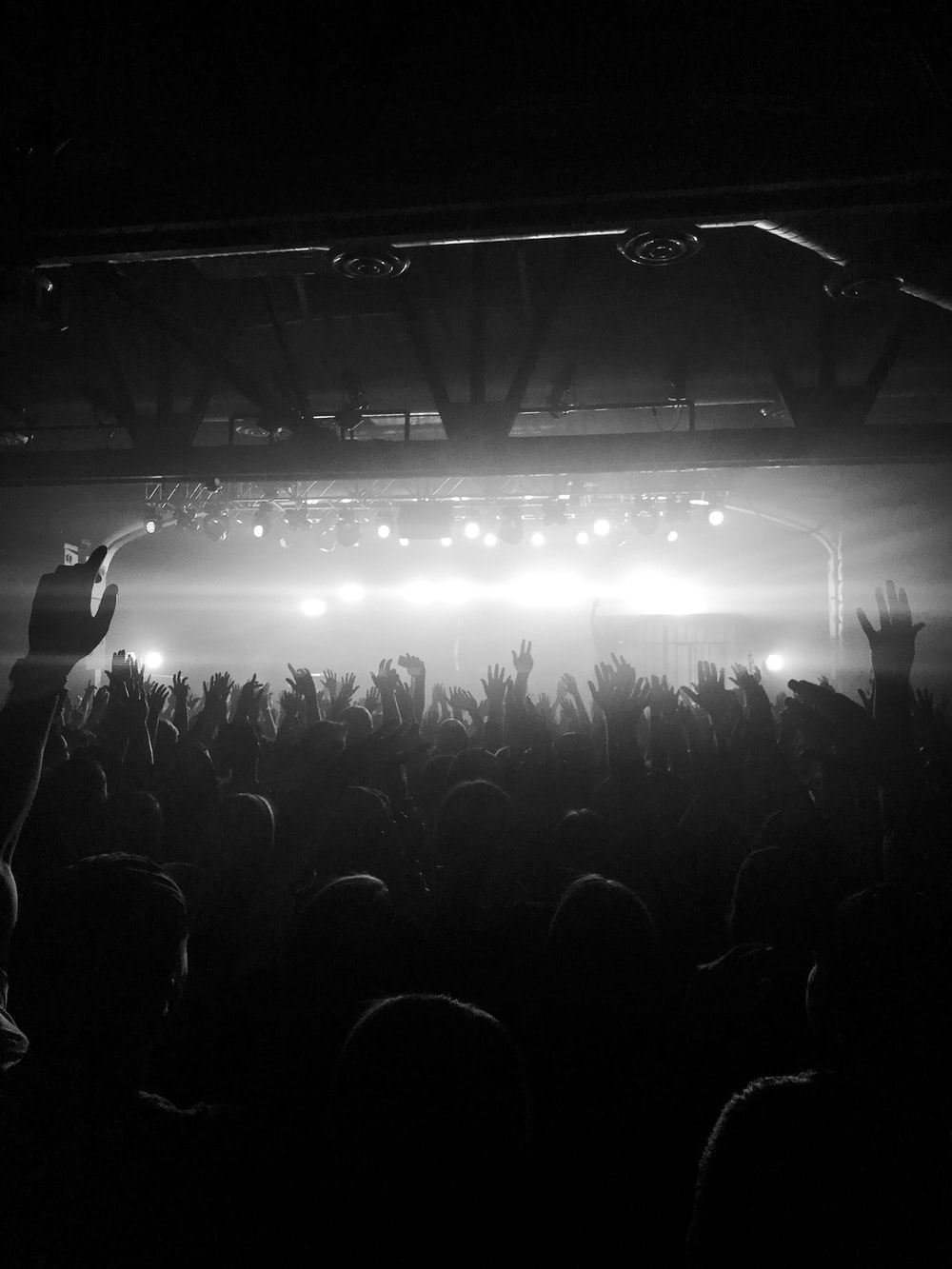 grayscale photo of people raising hands photo