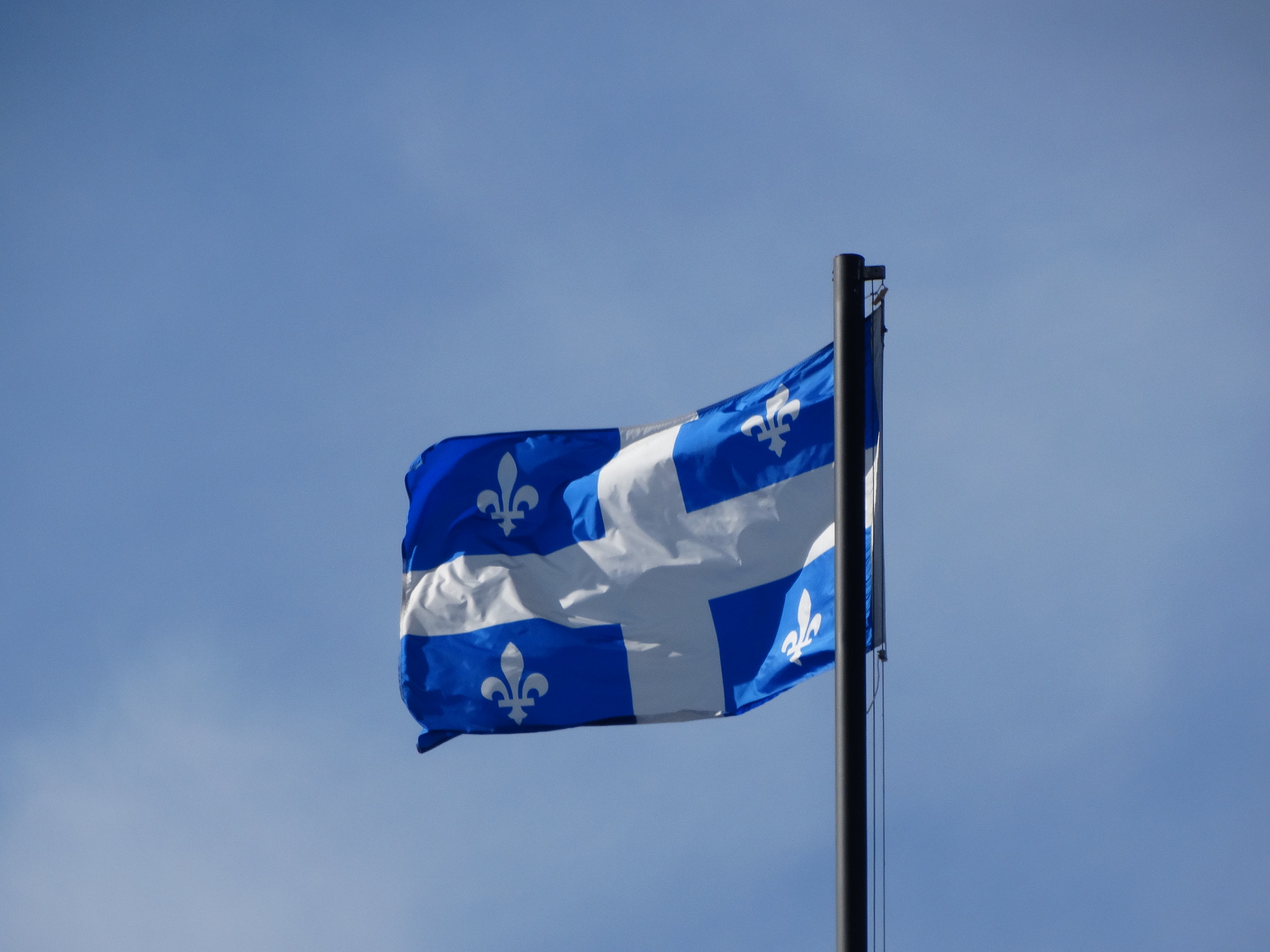 Flag In The Wild Quebec.jpeg