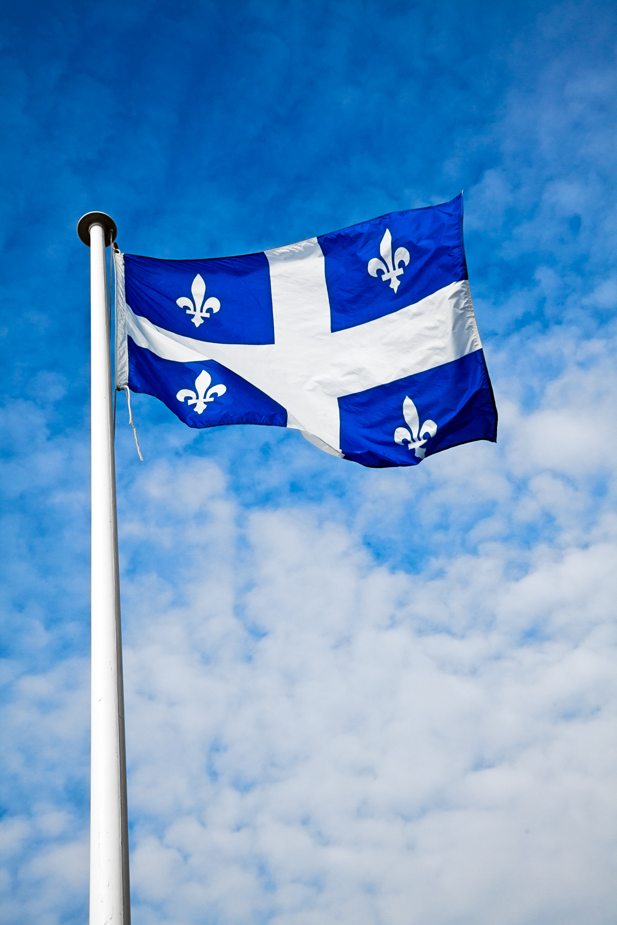 Free photo: Quebec Flag, Proud, Navy