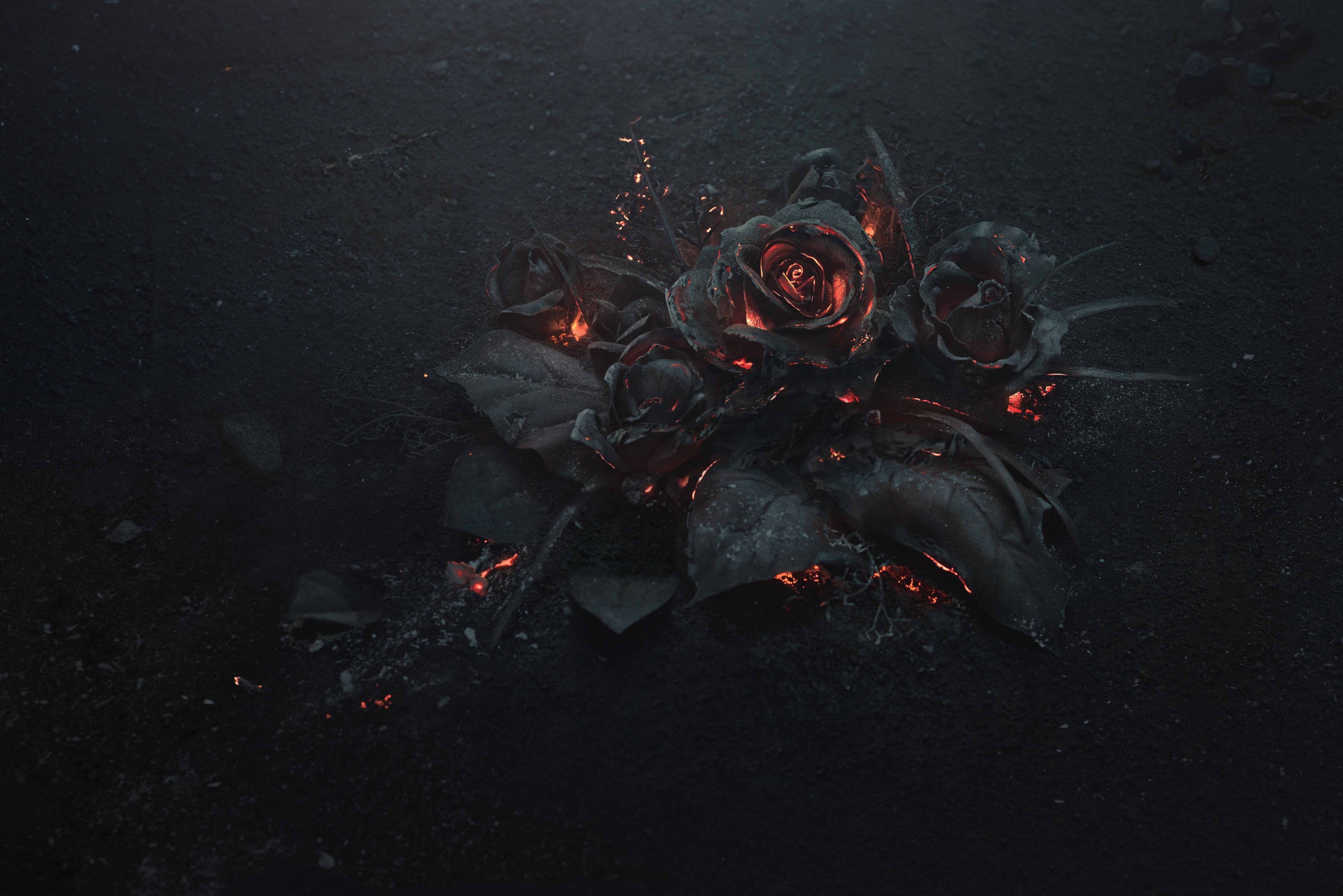 black rose illustration #rose #ash #burning #black #abstract #dark #flowers #fire K #wallpaper #hdwallpaper #de. Rose illustration, Burning rose, Rose wallpaper