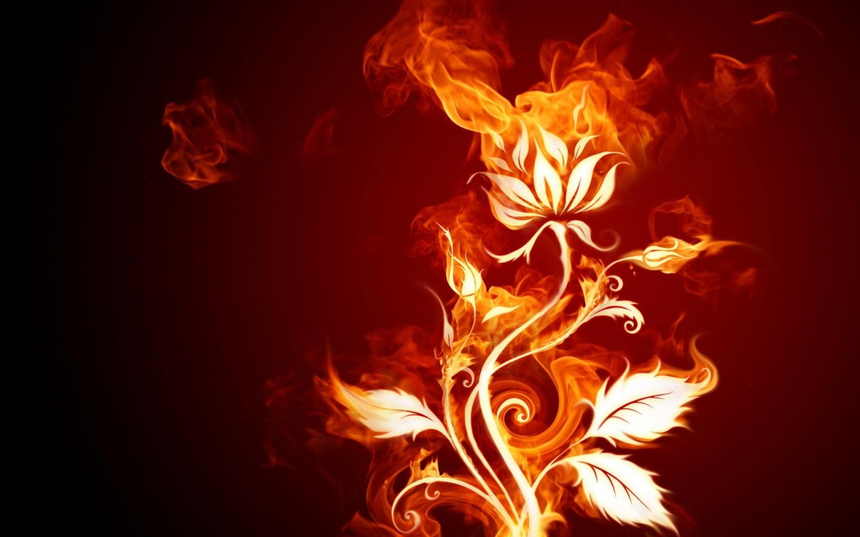 Burning Flower Wallpaperx1050