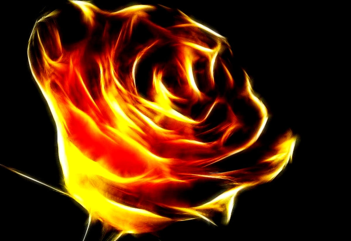 Background Fantastic Flowers, Flames, Fire. TOP Free Download image