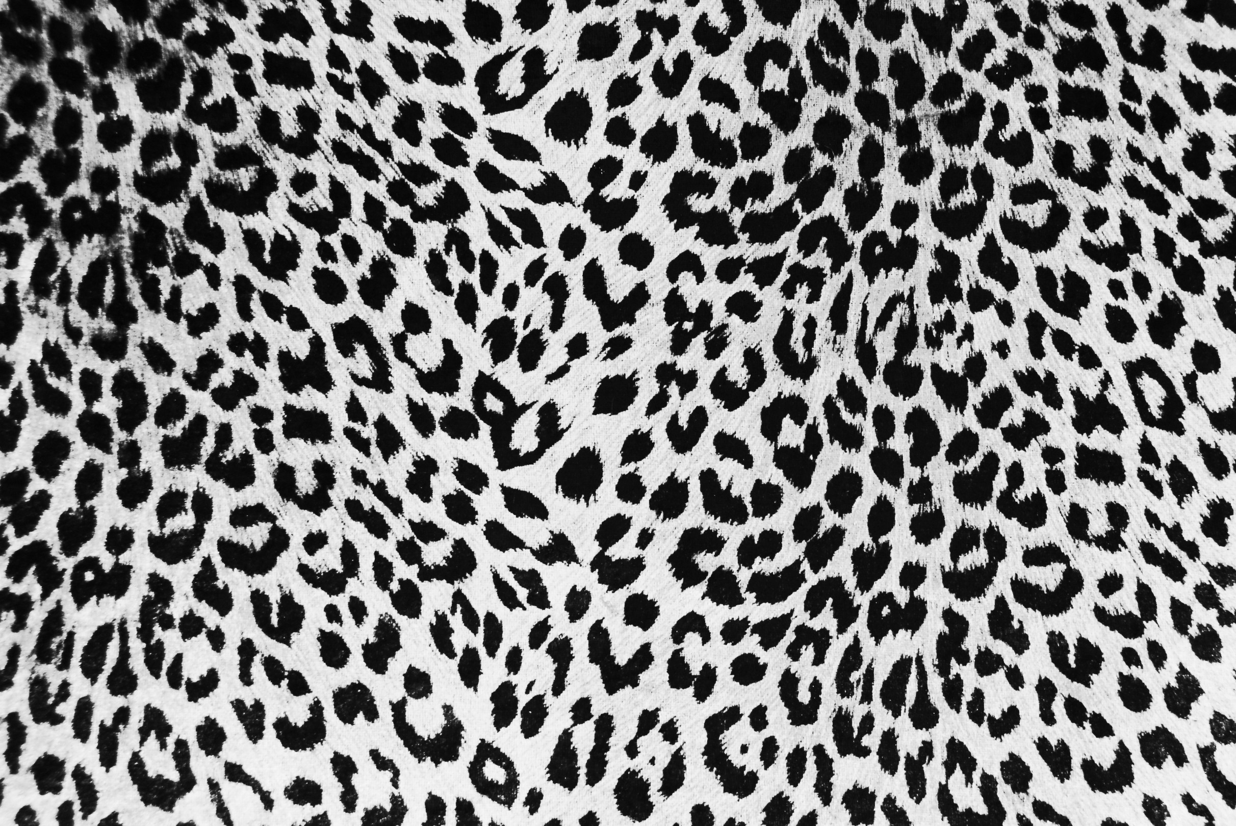 Black leopard print wallpaper HD