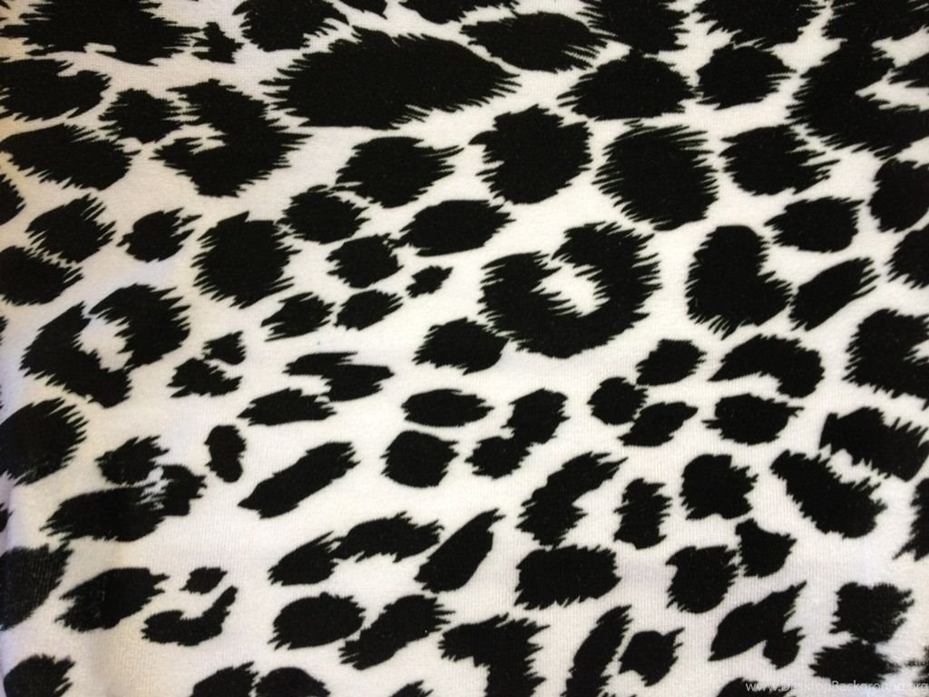 Black And White Leopard Print Wallpaper Wallpaper HD Fine Desktop Background