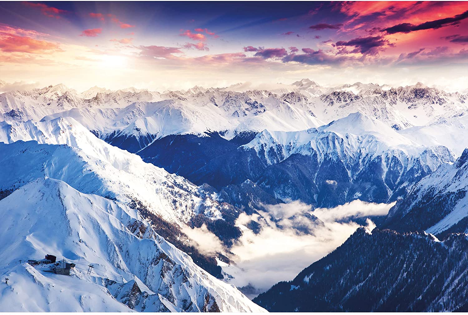 Large Photo Wallpaper