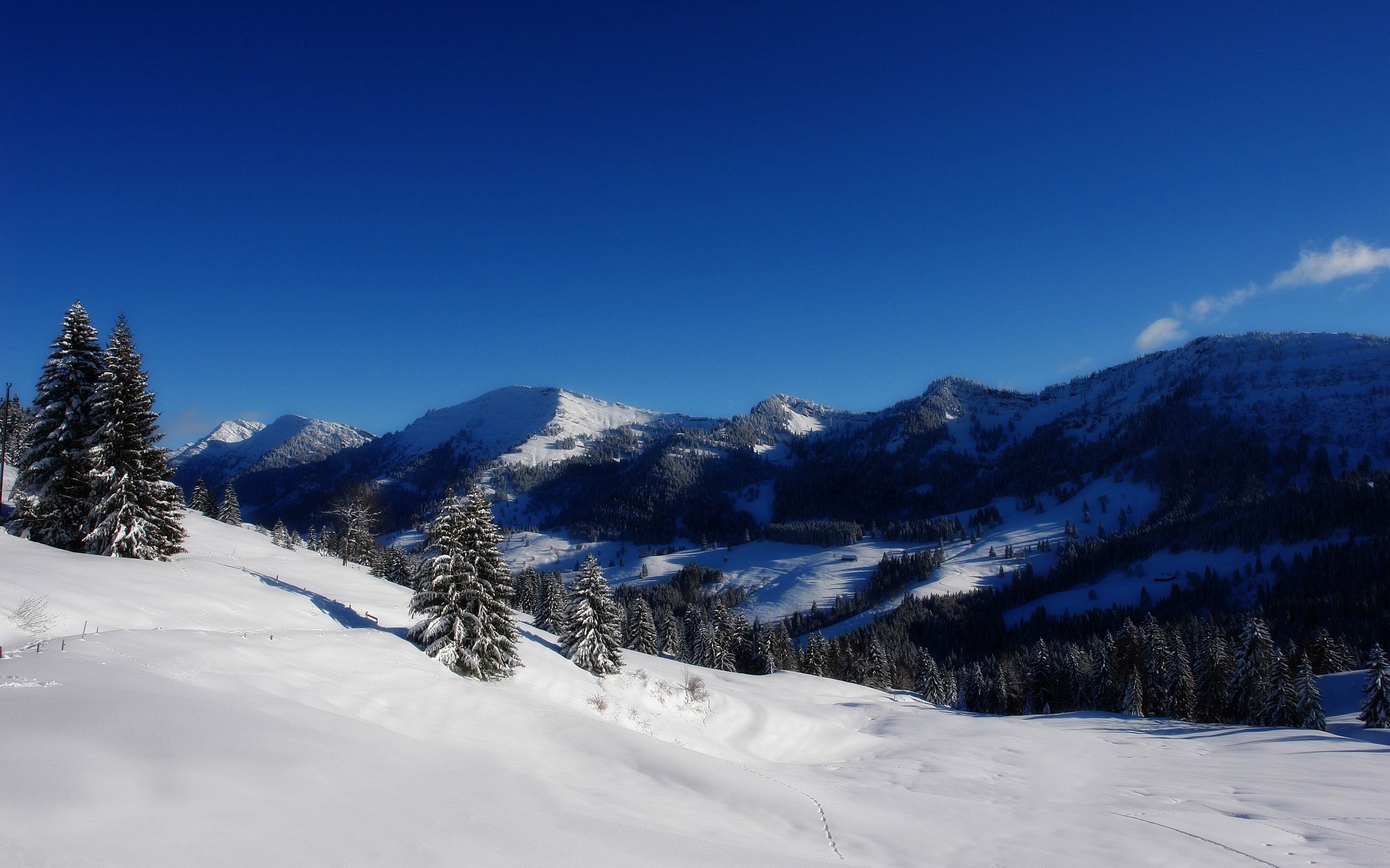 Winter Panorama Winter Natural Landscape Wallpaper