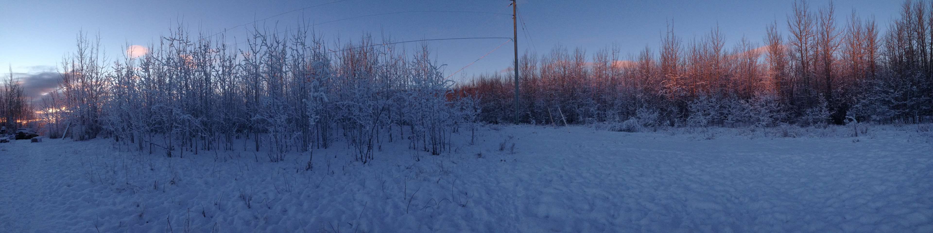 nature #panorama #snow #sunrise #trees #winter #yukon. Sunrise, Panorama, Cool wallpaper