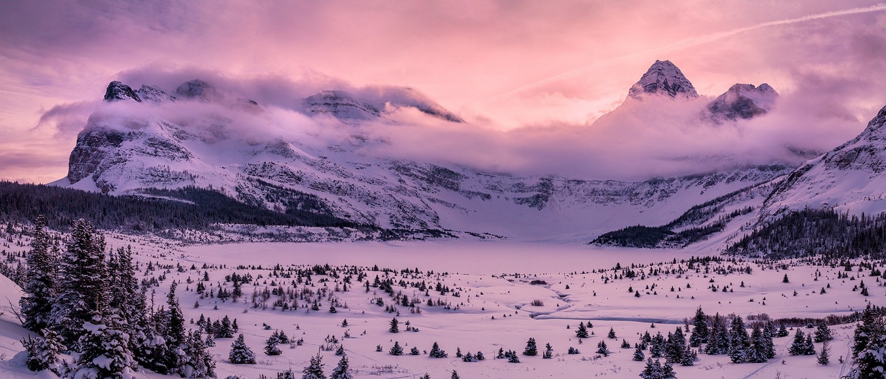 photography, Landscape, Nature, Mountains, Panorama, Winter, Forest, Snow, Pink, Clouds, Sunset, Cold, British Columbia, Canada Wallpaper HD / Desktop and Mobile Background