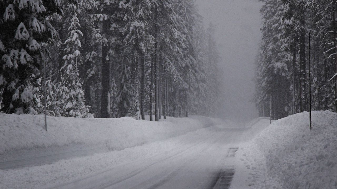 Download wallpaper 1280x720 winter, road, snow, fir grove, panorama hd, hdv, 720p HD background