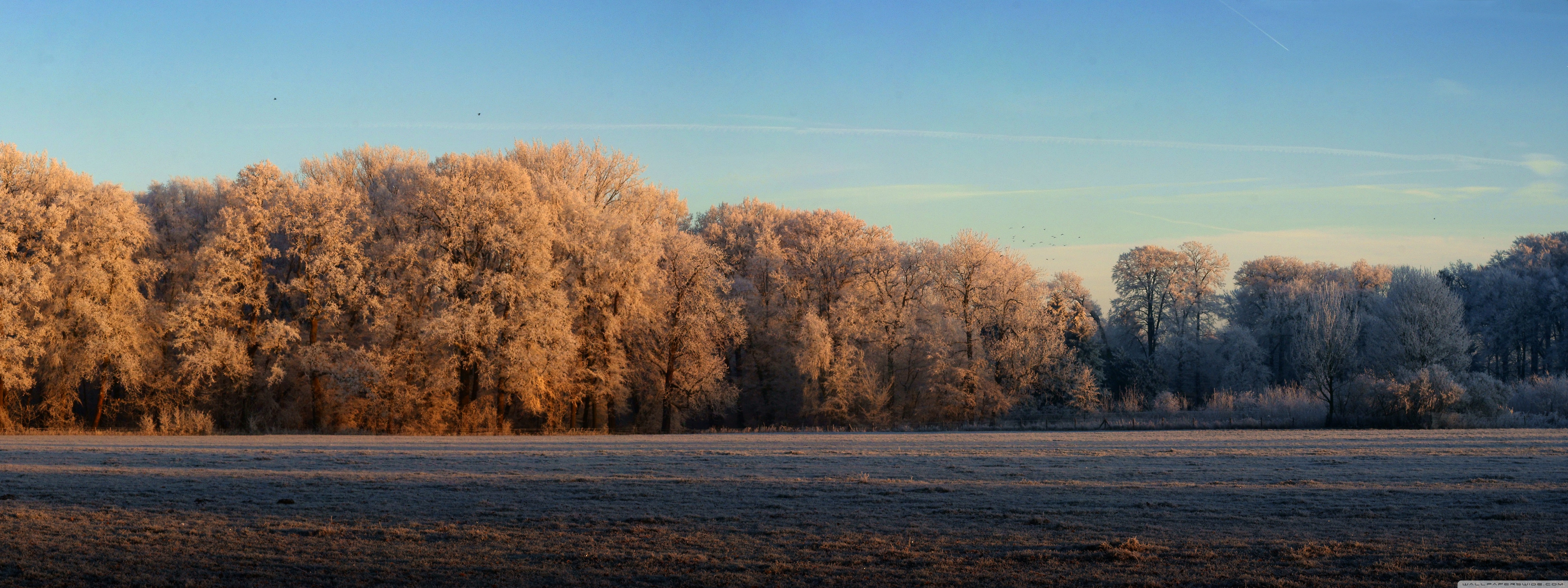 Panoramic View Of Nature Ultra HD Desktop Background Wallpaper for 4K UHD TV, Widescreen & UltraWide Desktop & Laptop, Multi Display, Dual Monitor, Tablet