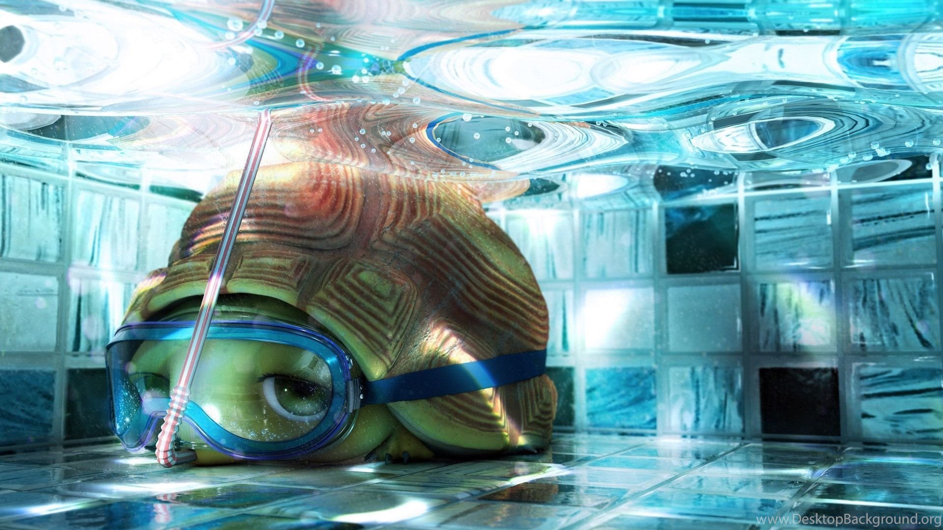 Cute Turtle Wallpaper Desktop Background