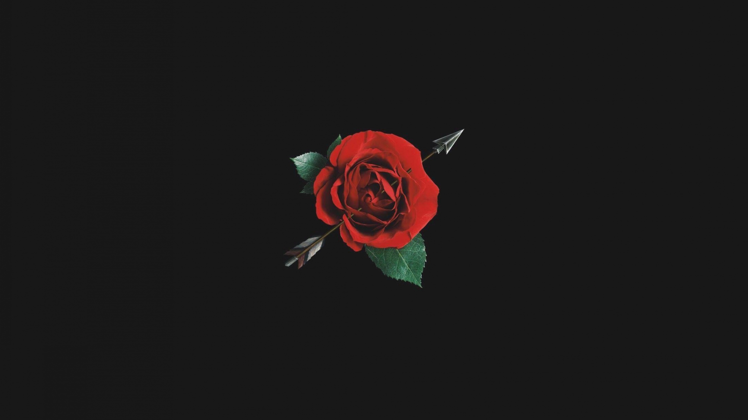 Free download Dark Aesthetic Rose Blurry Rose Wallpapers 2200x3300 for your...