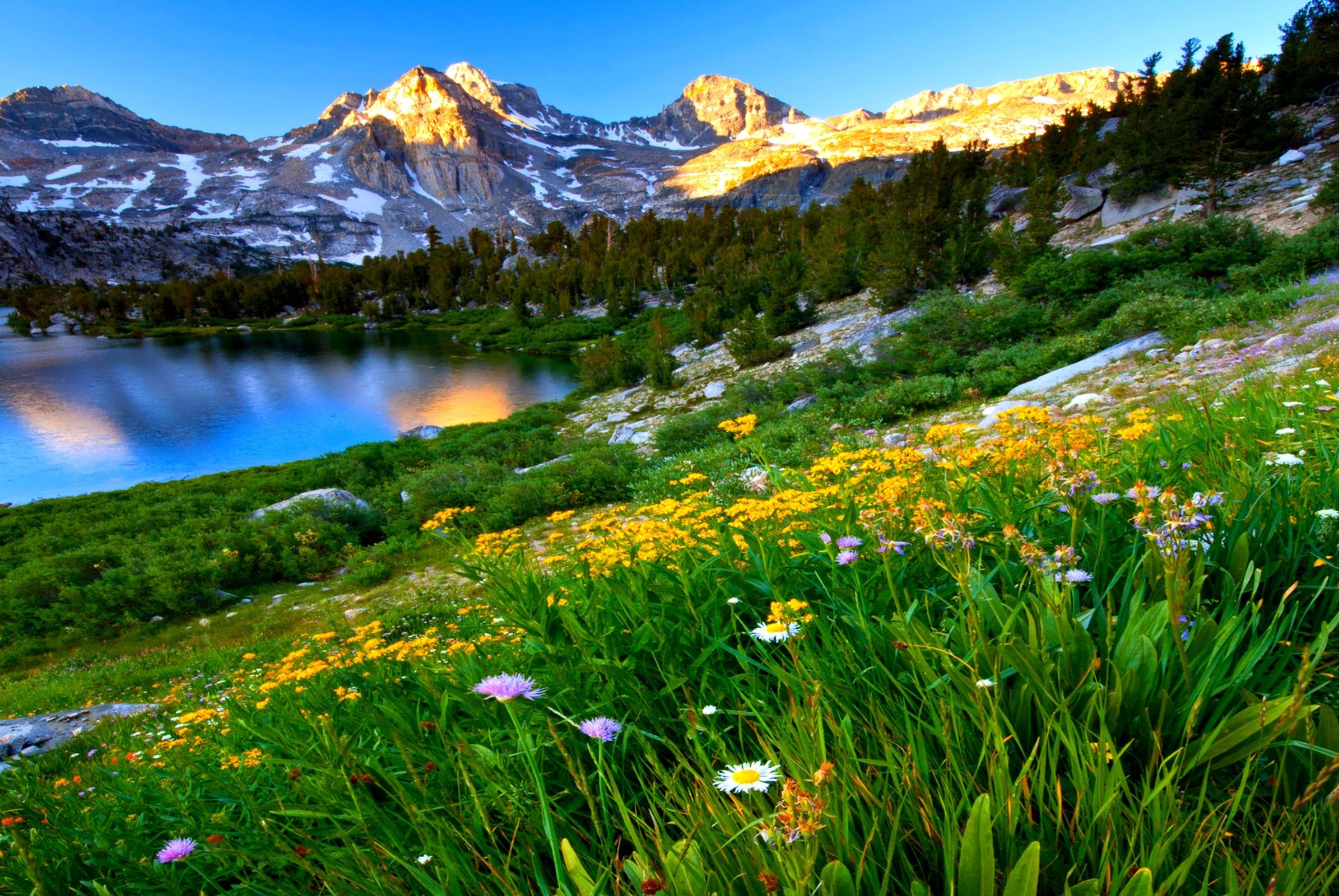 Mountain Spring Nature Wallpaper Free Mountain Spring Nature Background