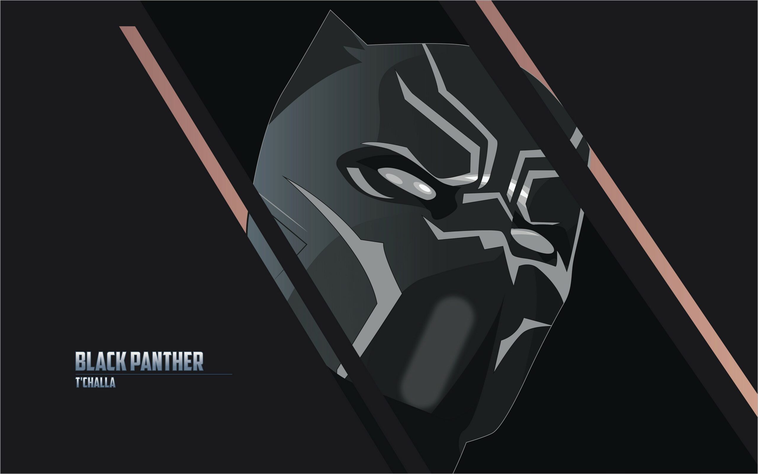 Black Panther Wallpaper 4k For Laptop