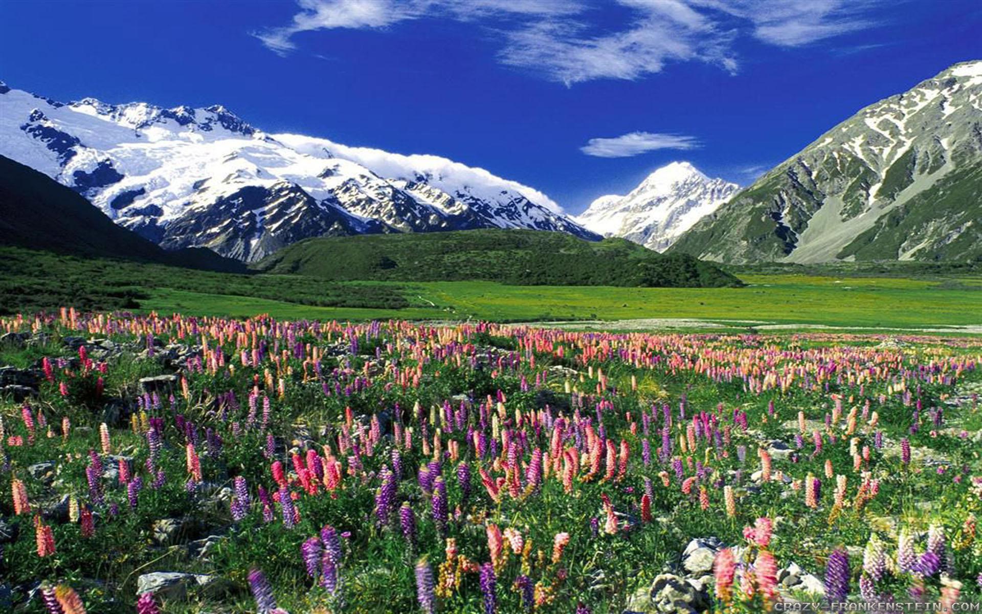 Background category, full big, Spring in the mountains