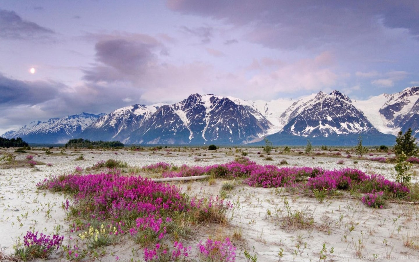 Spring Mountain Wallpaper 2 Crazy Frankenstein Desktop Background