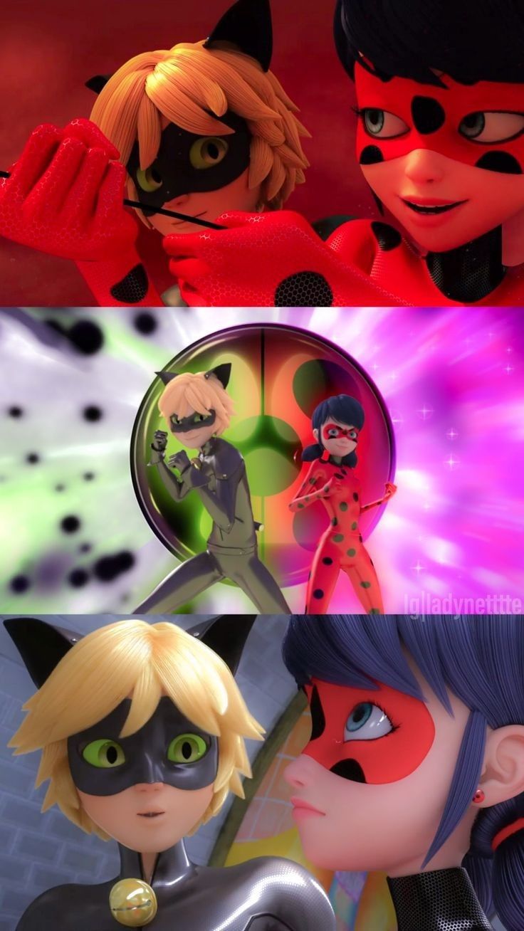 Miraculous Wallpaper. Miraculous ladybug funny, Miraculous ladybug memes, Miraculous ladybug oc