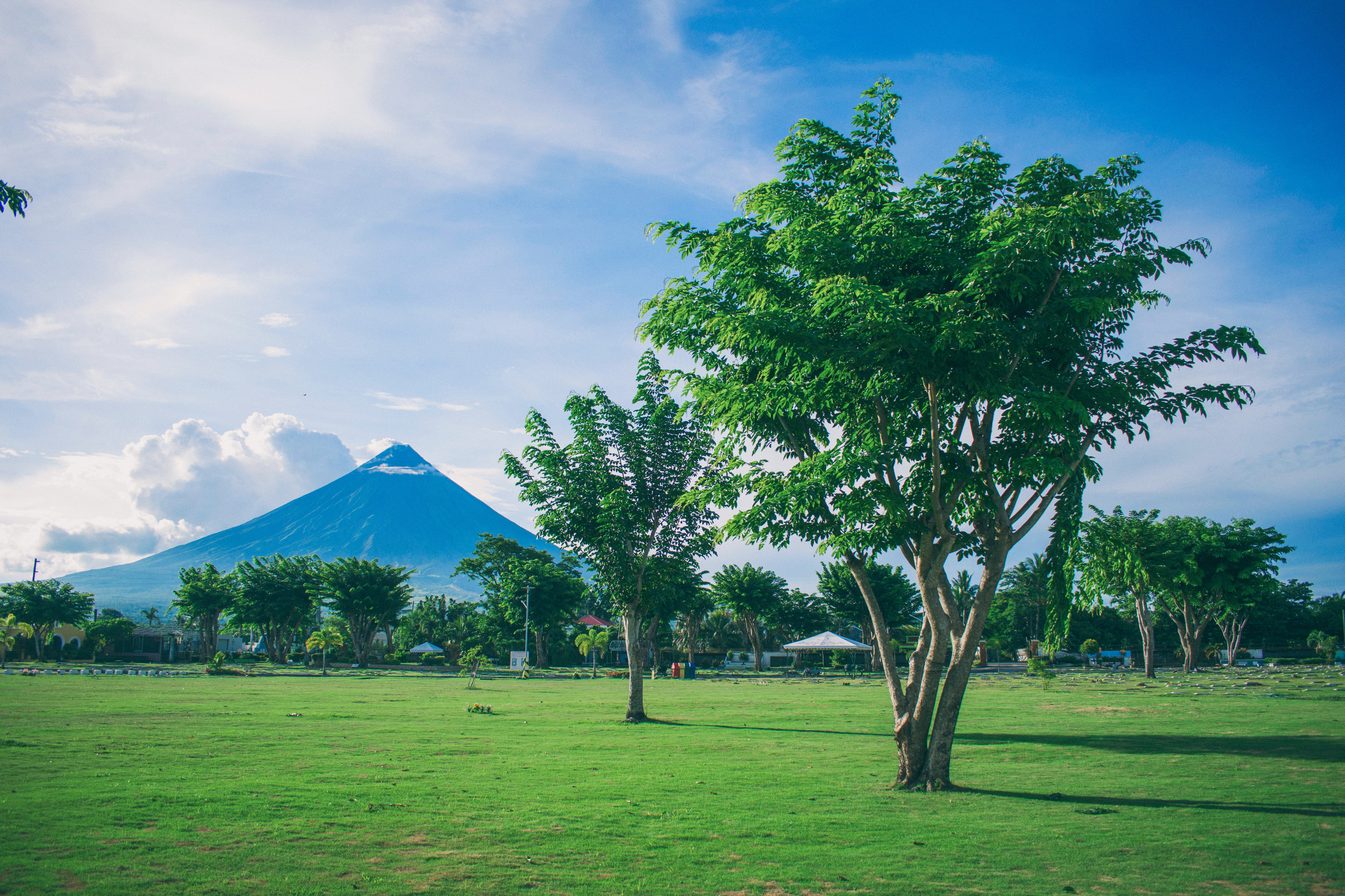 Landscape Photography of Open Field With Tree With Mayon Volcano Background · Free