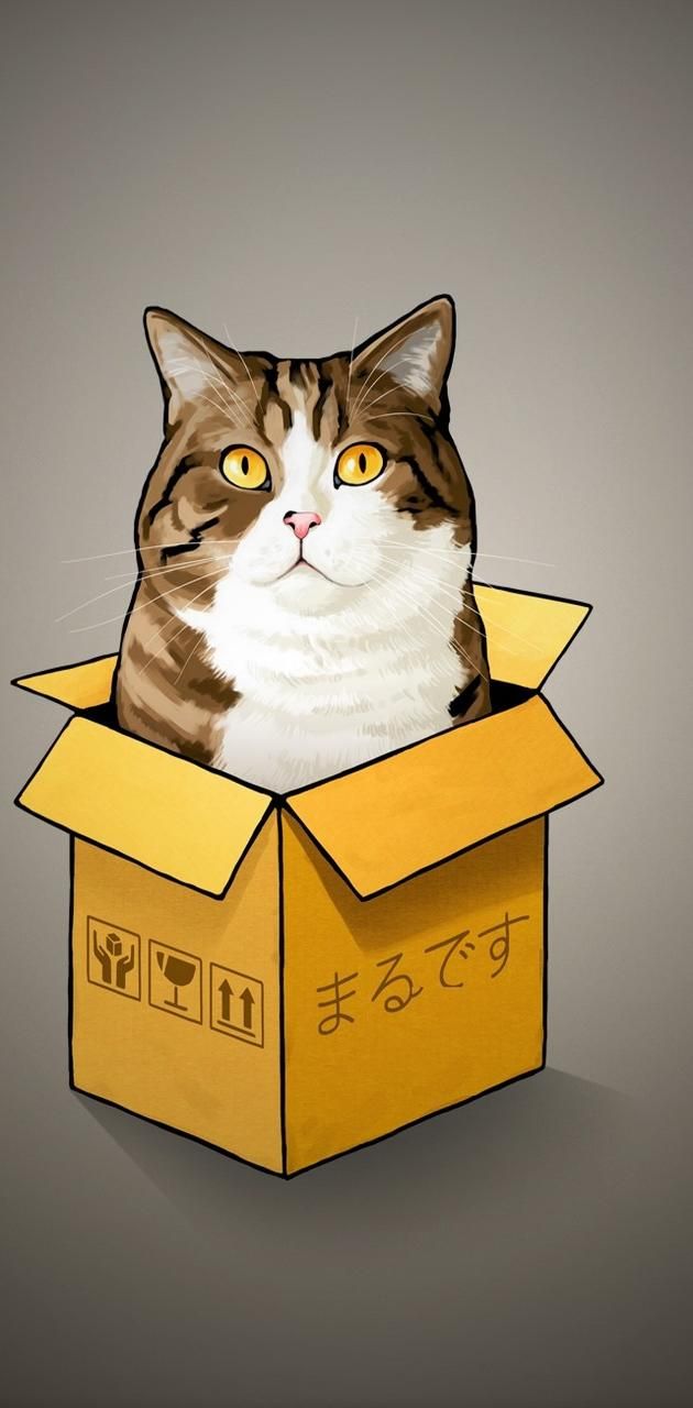 Wallpaper from Zedge. Cat wallpaper, Cat tshirt, Wallpaper