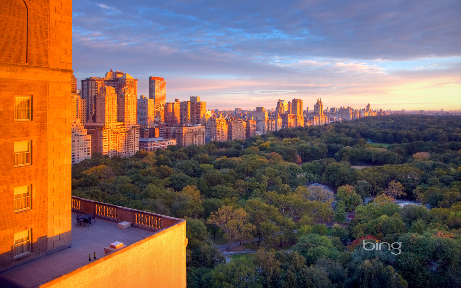 Central Park Manhattan New York City New York From Down Under And Friends Wallpaper