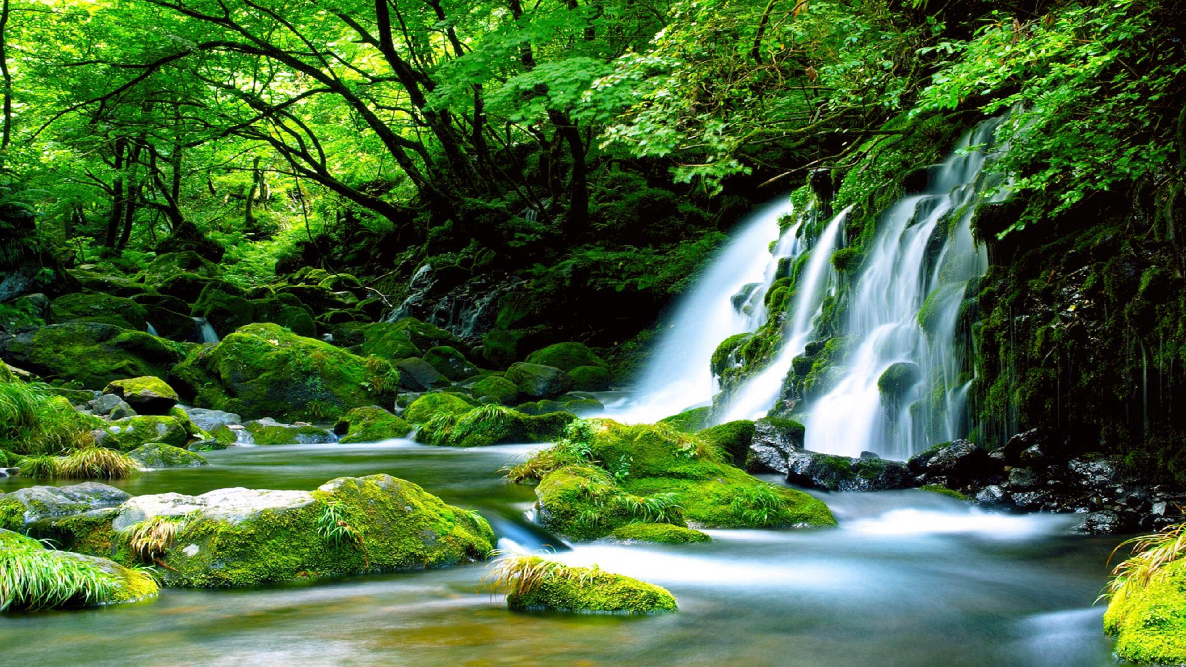 Green Waterfall River Rocks Covered With Green Moss Forest Waterfall Wallpaper HD High Definition 3840x2160, Wallpaper13.com
