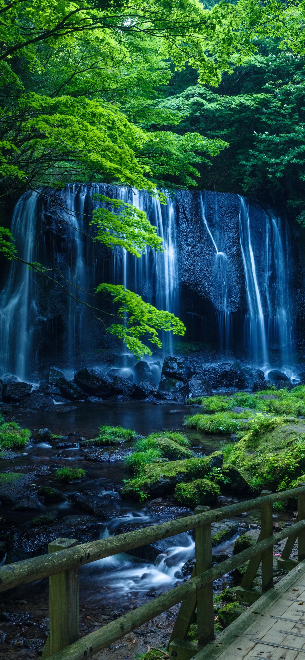 Waterfall, Stream, Trees, Green, Park 1242x2688 IPhone 11 Pro XS Max Wallpaper, Background, Picture, Image