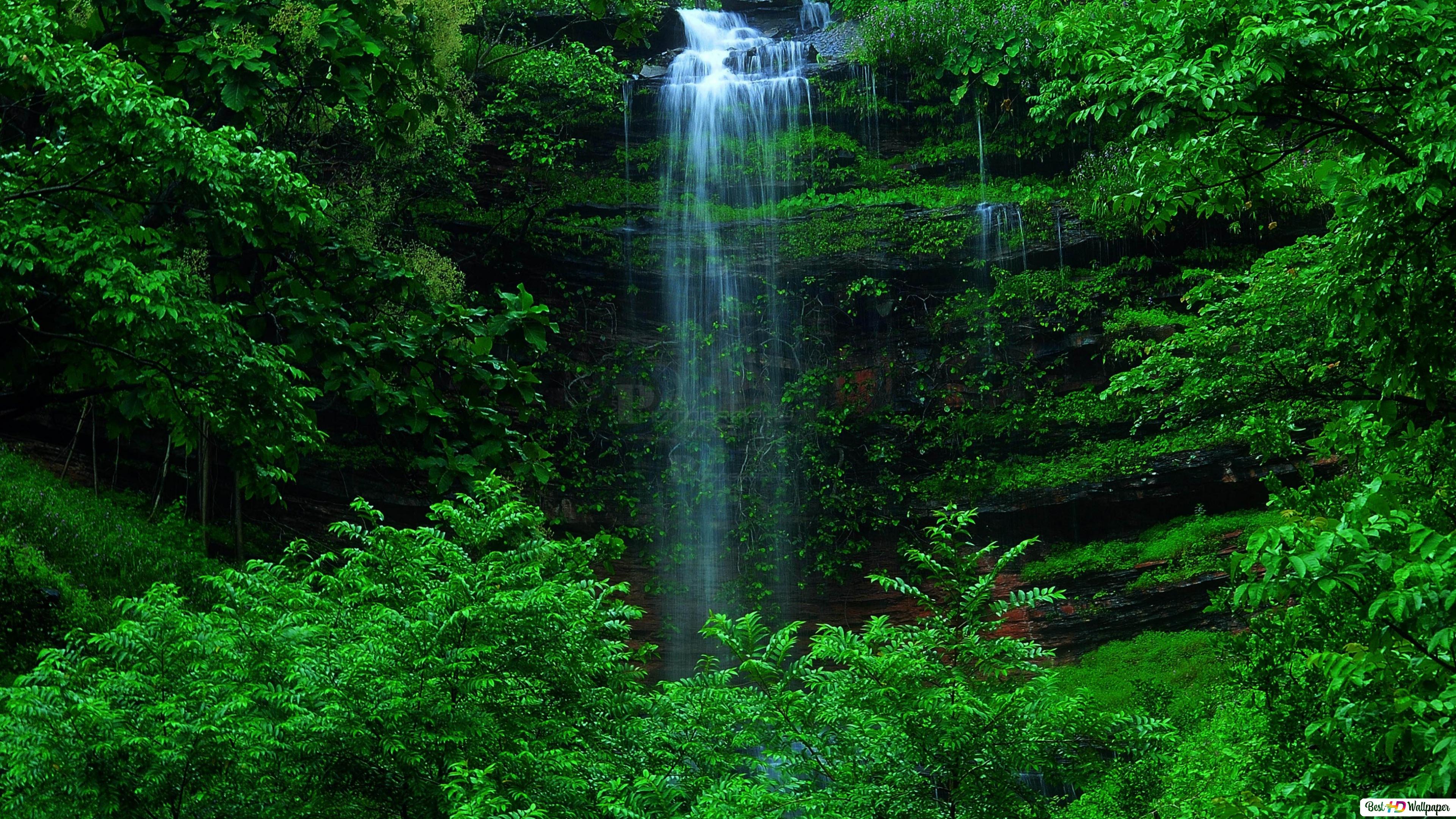 Green Forest Waterfall 4K wallpaper download