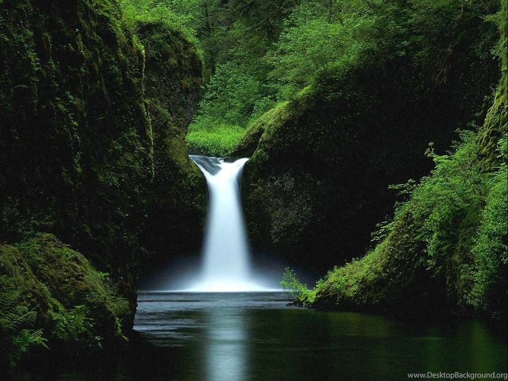 Forest Waterfall Wallpaper Find Nature Wallpaper Forest Waterfall. Desktop Background